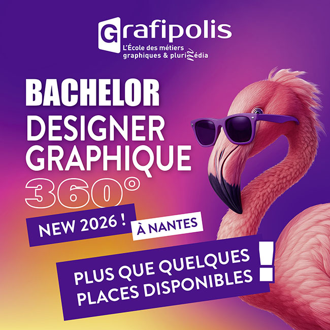 Bachelor Designer graphique 360